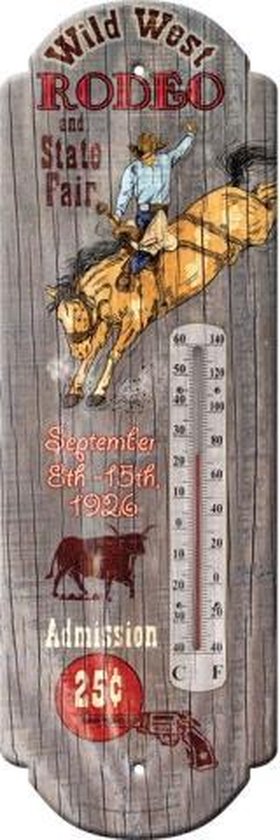 buiten thermometer